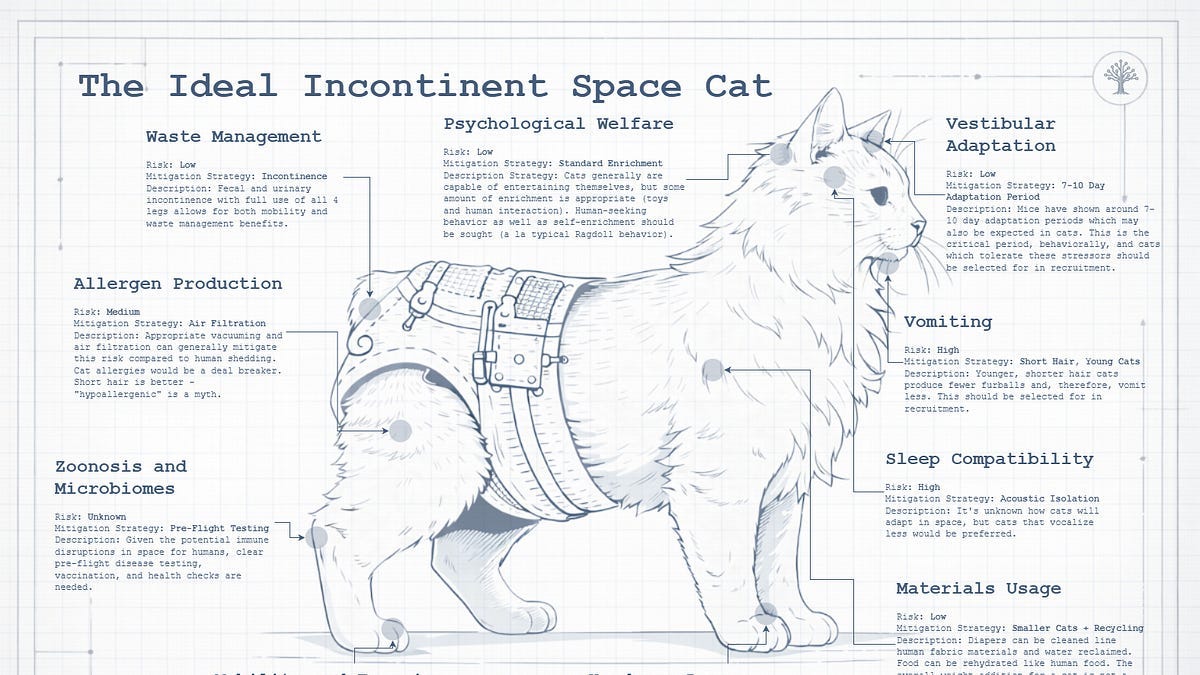 Furrst Contact: The Case for Incontinent Cats as Space Companions