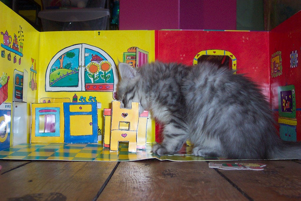 ‘Kitten kitten kitten kittens’ — I.M.H.O. — Medium