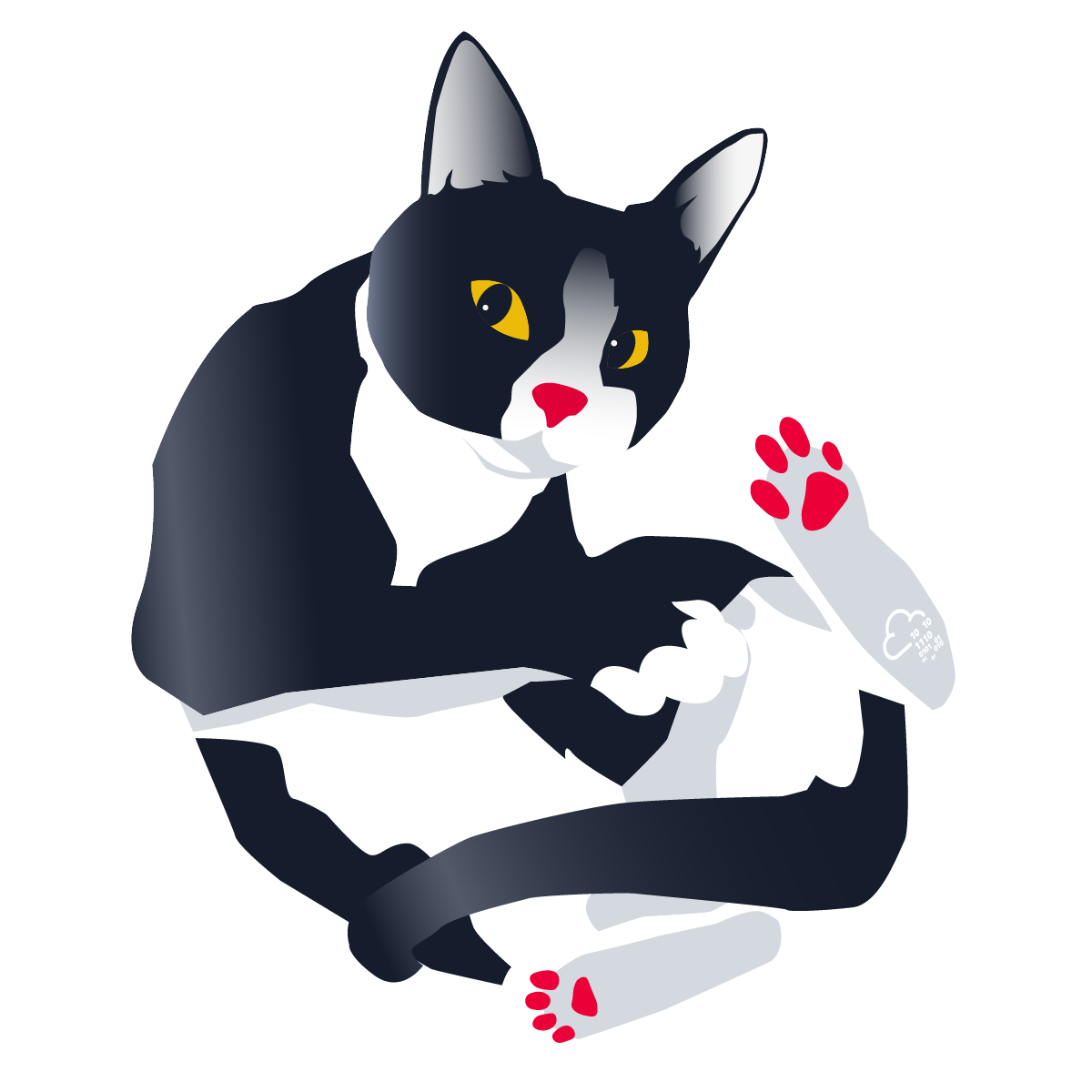Kitty | TryHackMe | Walkthrough