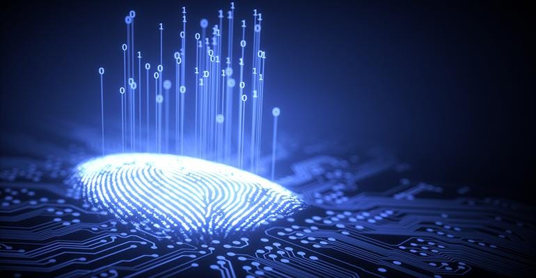 Fingerprinting fraudulent behavior