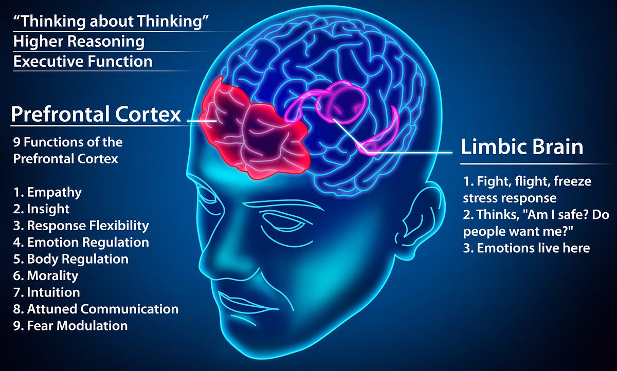 Why understanding limbic resonance can set you apart from ...