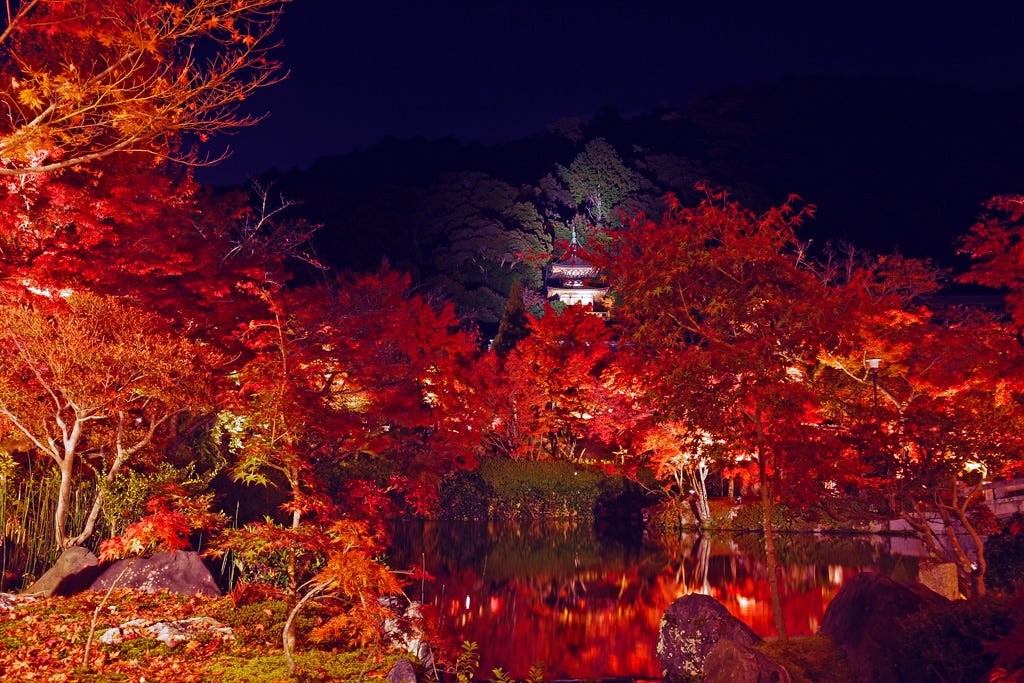 places to visit in japan in november