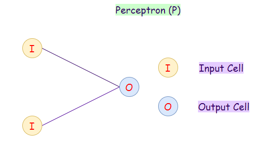 Figure 3: Representation of the perceptron (p).