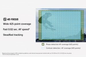 Sony a6400 autofocus points diagram