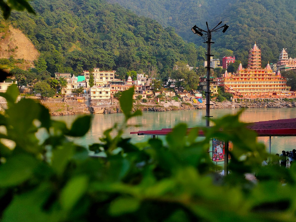 View of Rishikesh’s iconic riverside temples and buildings across the Ganges, with green mountains in the background and leafy plants in the foreground