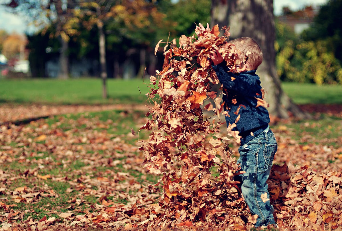 The 15 Best International Places to Travel in the Fall Best travel places for travelers to see the colors of fall