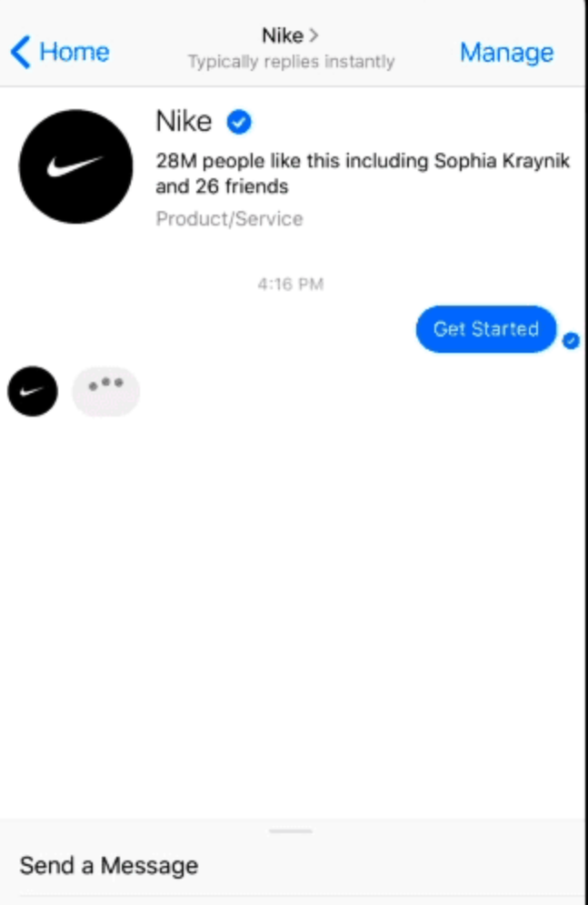 nike chatbot interface