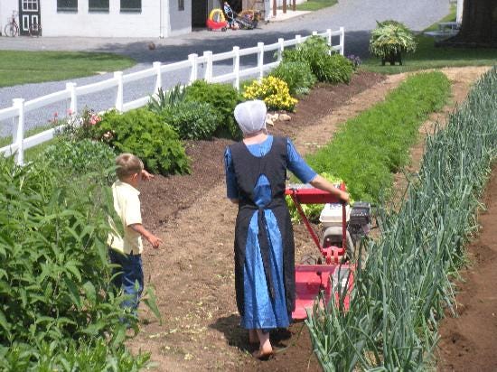 Amish Living 101 – Thrive Global – Medium