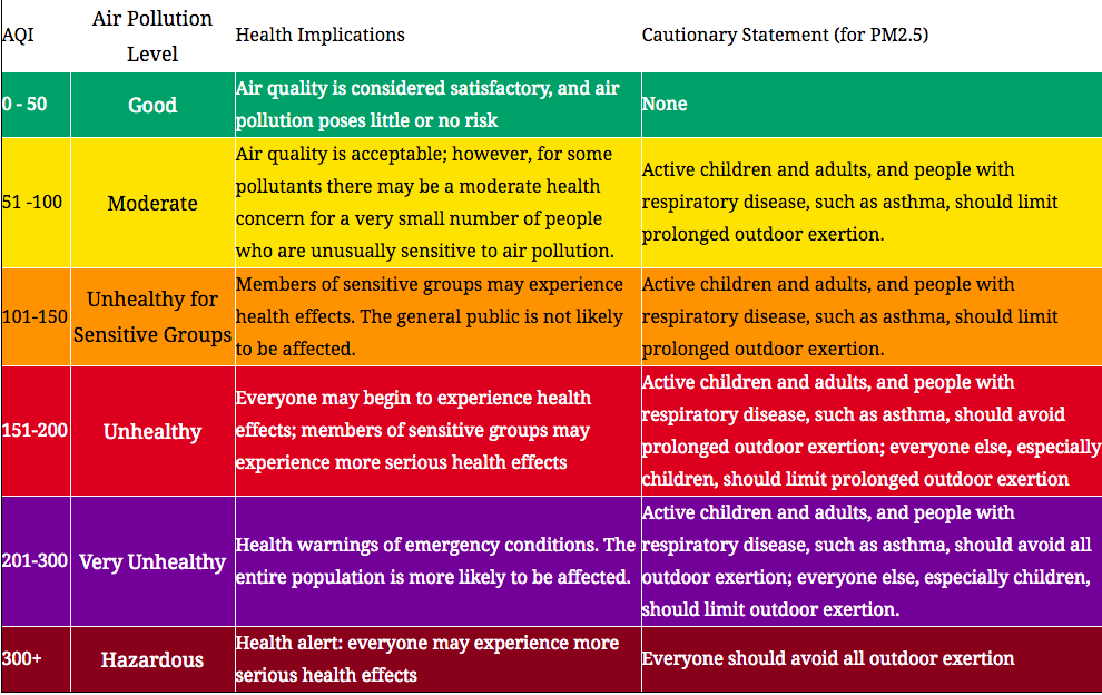 A Complete Guide to Air Pollution: PM2.5 Levels, Air Purifiers & More