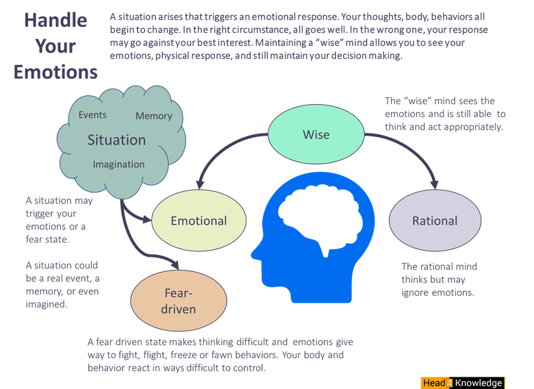 feelings emotions control handle regulate brain cognitive think them emotional mind wise rational fear being states activity