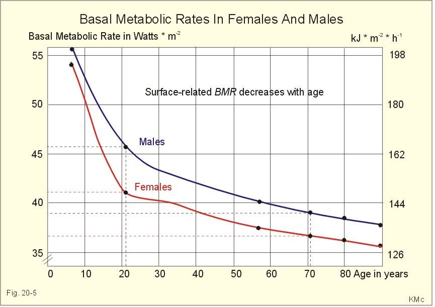 Why Exercise Is Ineffective for Fat Loss – The Mission – Medium