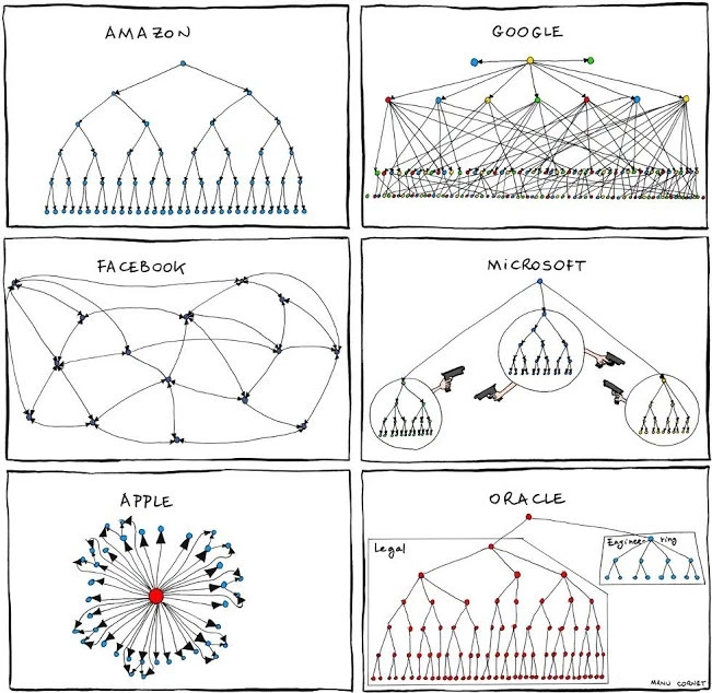 Team and organization structures