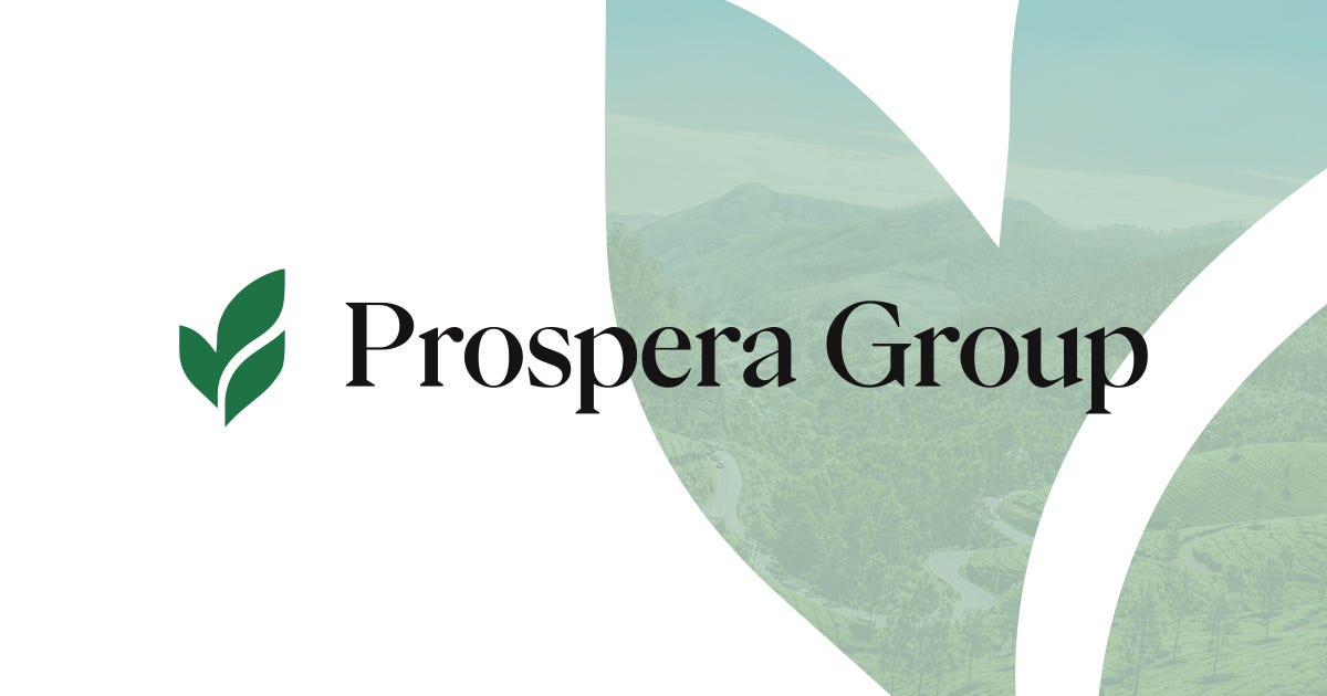 The Geometry of a Ghost: My $450,000 Slaughter at Prosperagroup.se