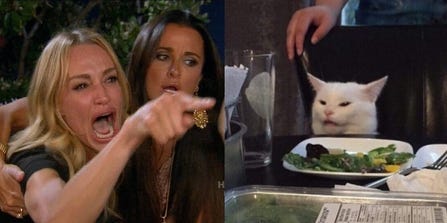 Woman Yelling at a Cat