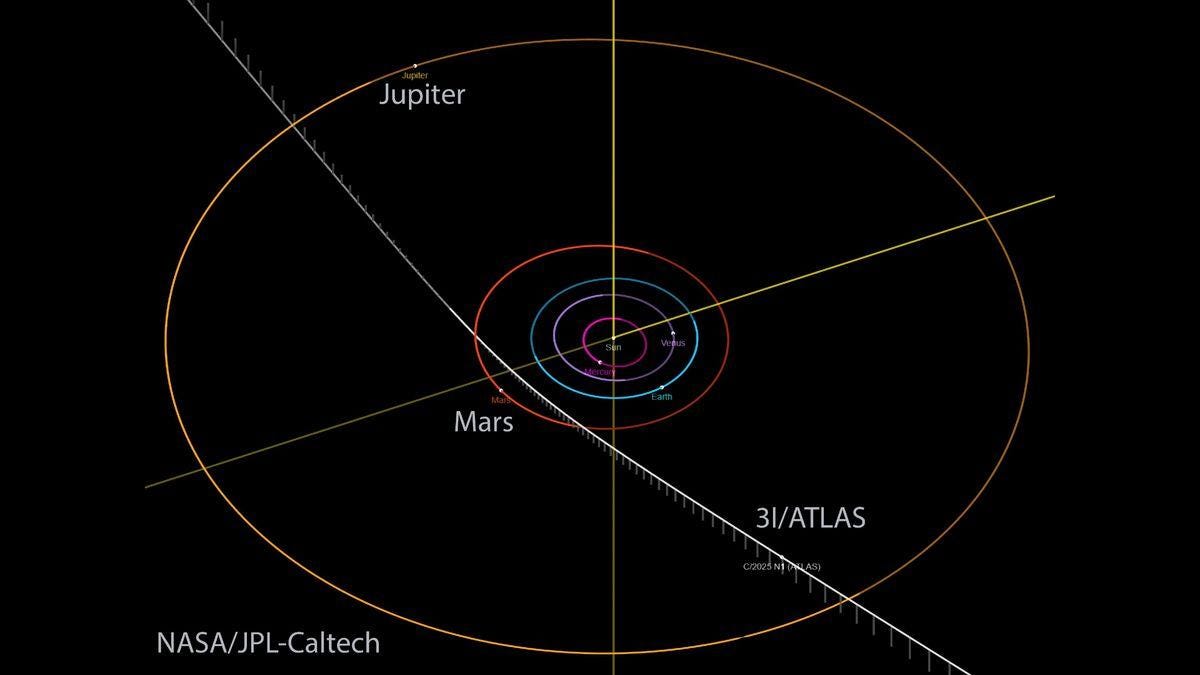 What 31/ATLAS Reveals About the Early Universe