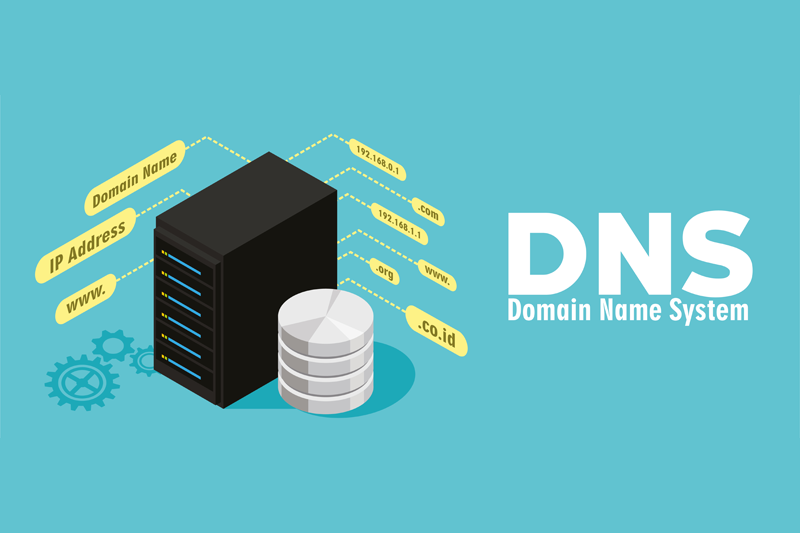DNS (DOMAIN NAME SYSTEM)