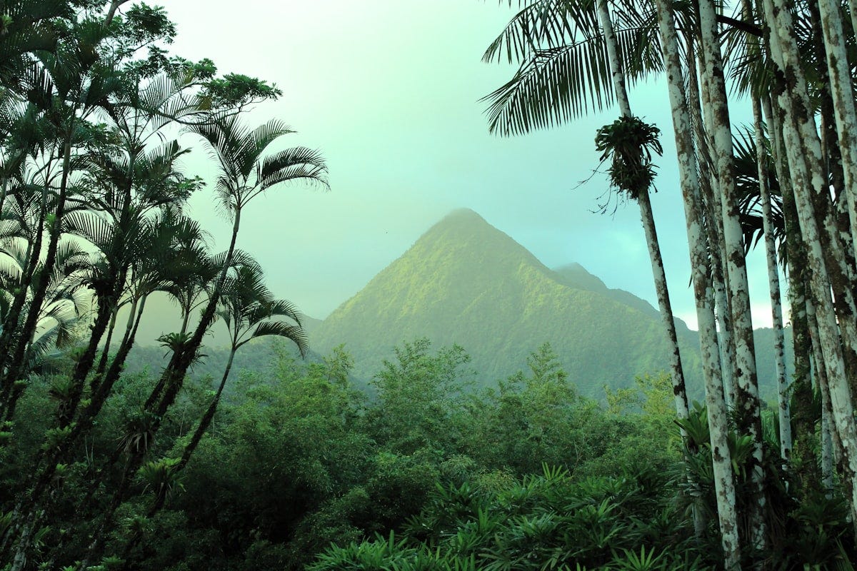 Escaping the SQL Jungle