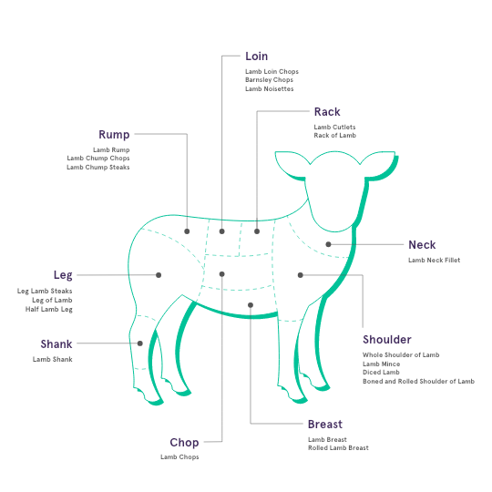 Diagram Of Lamb Cuts