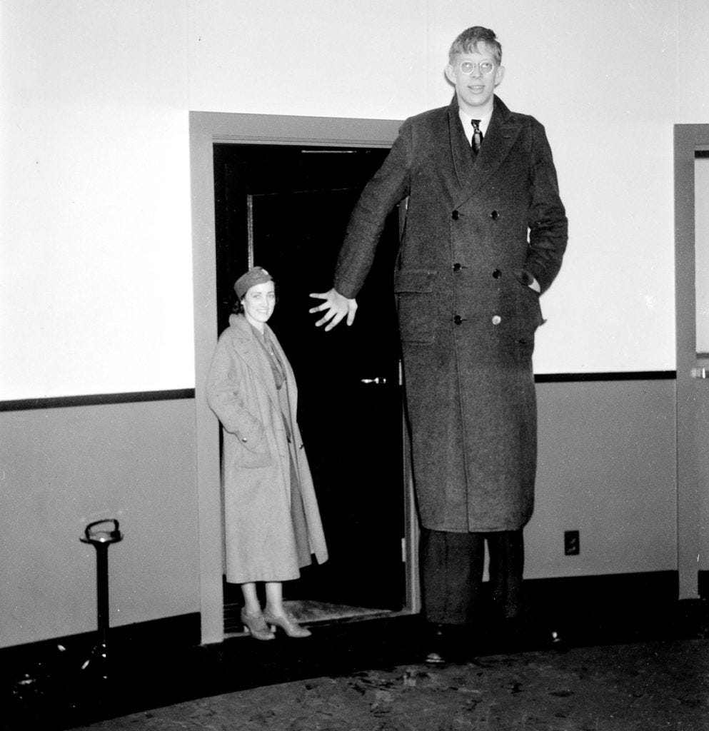 the-tallest-man-ever-lived-in-the-world-admin-banghieugialai-medium