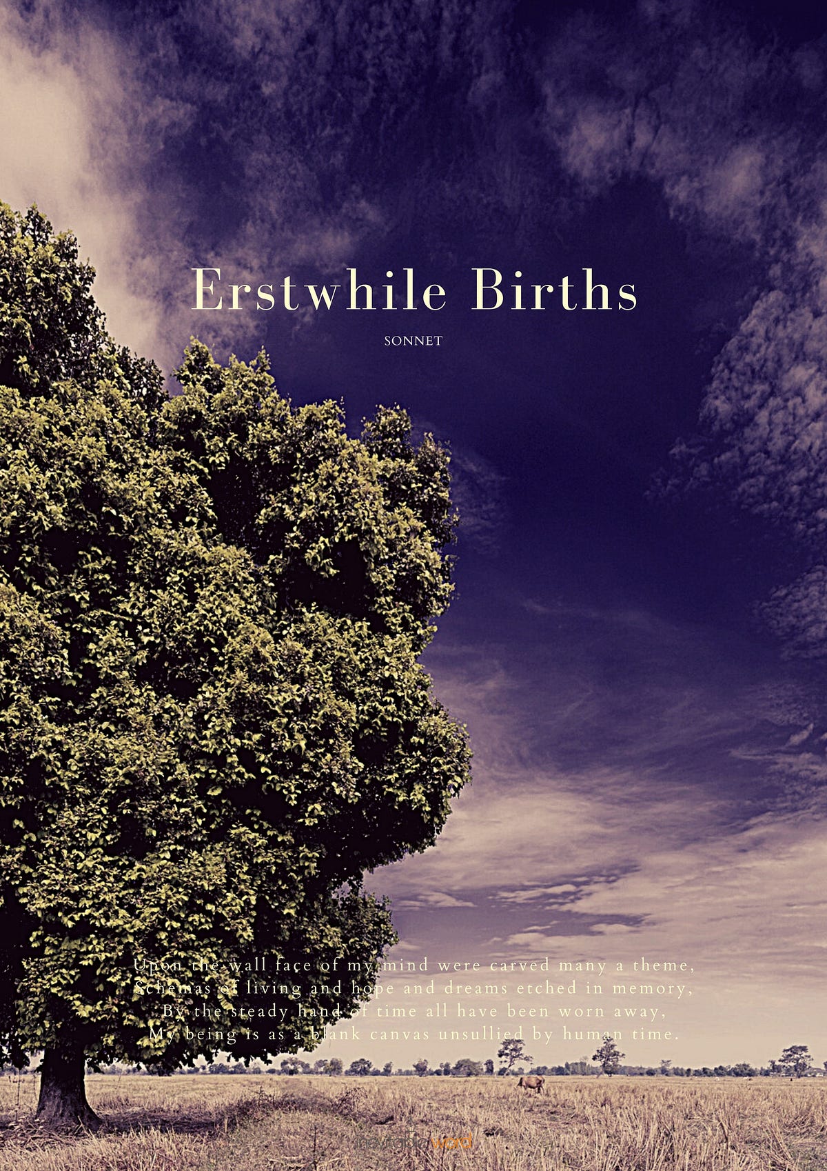 Erstwhile Births