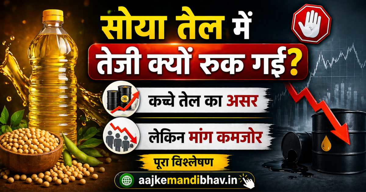 सोया तेल में तेजी क्यों रुक गई? कच्चे तेल का असर, लेकिन मांग कमजोर — पूरा विश्लेषण