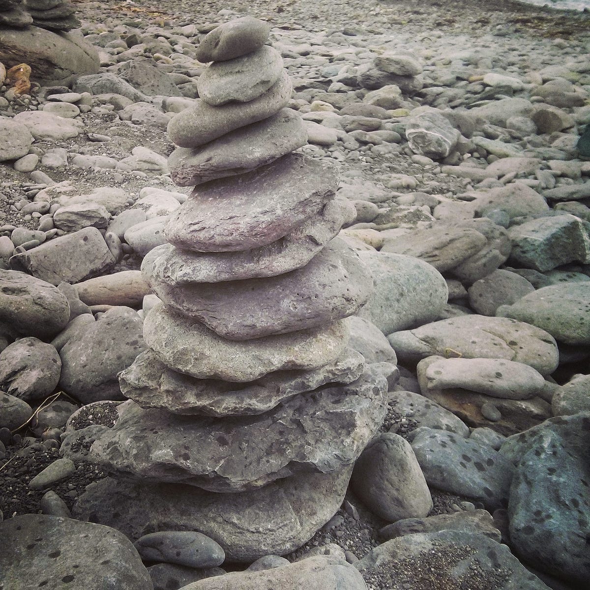 Flores entre las rocas - Medium