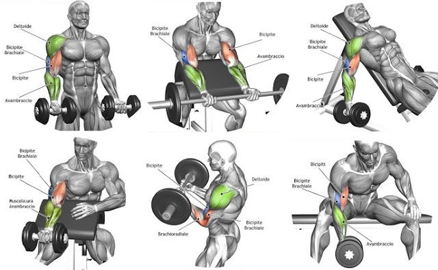 Best Forearm Exercises For Mass Bodybuilding - AIMEE - Medium