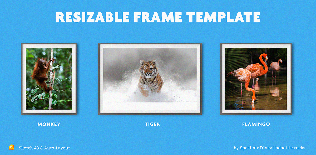 Create a resizable image frame with Sketch 43 and Auto-Layout