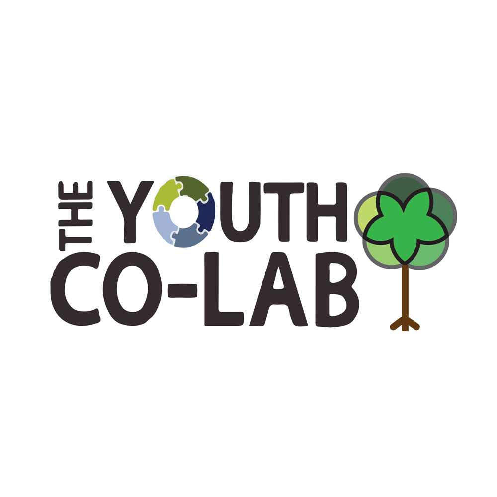 The Youth CoLab Medium