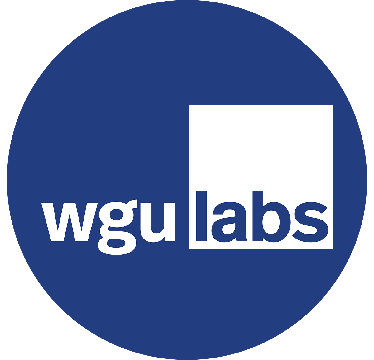 Wgu Labs Lxd Team – Medium