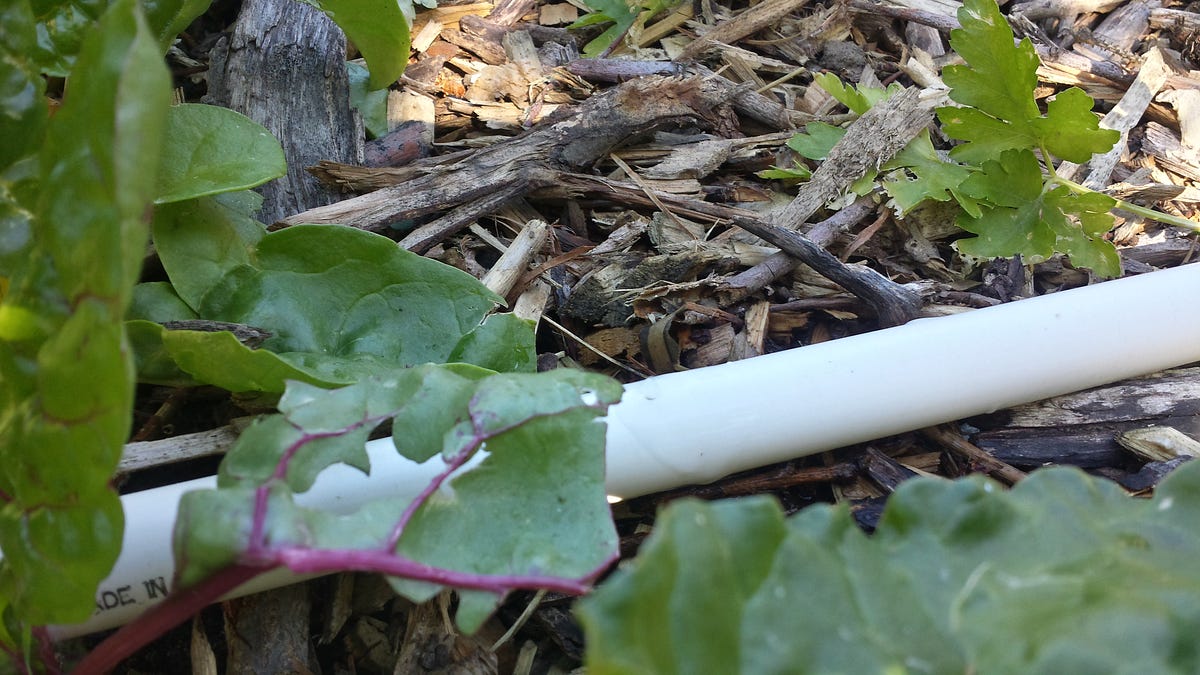 PVC Pipe Drip Irrigation Scott Gillespie Medium