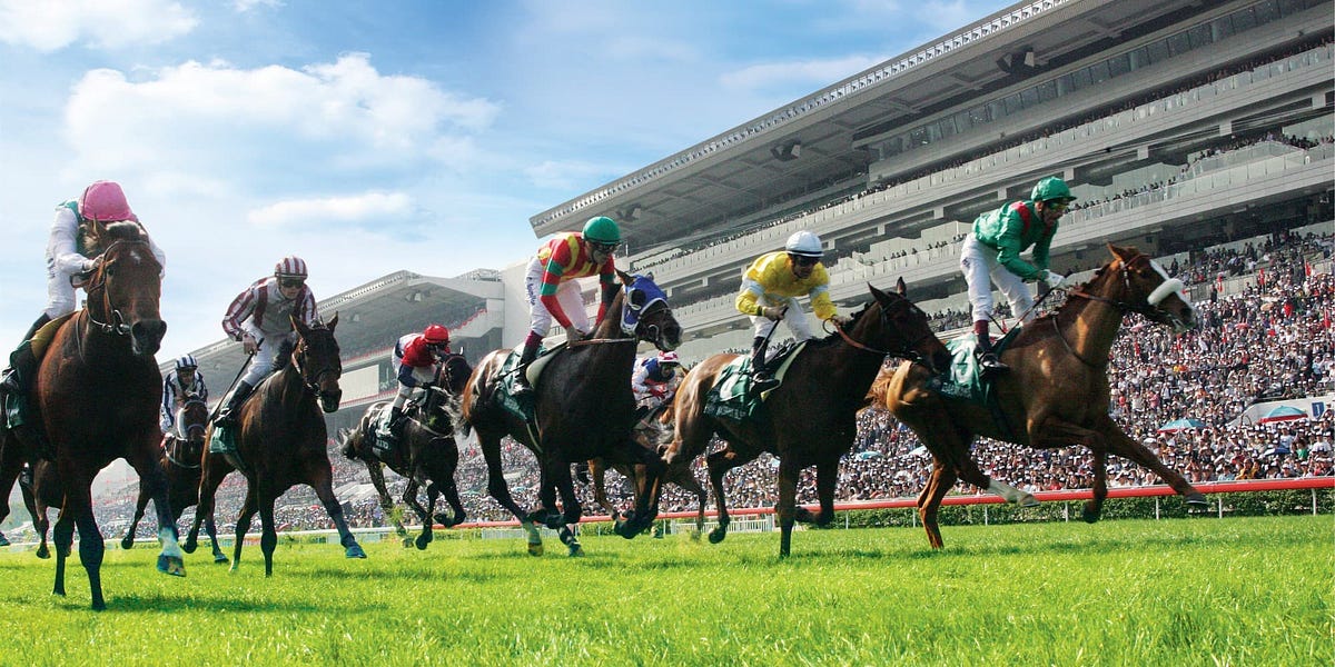 Horse Racing Analysis Medium