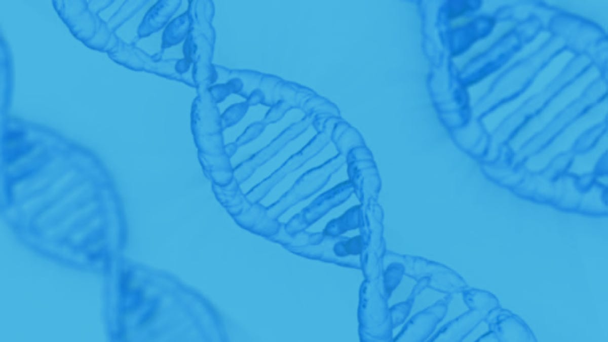 Lifes Building Blocks Exploring Carbon Oxygen Connections - nfg6vjr