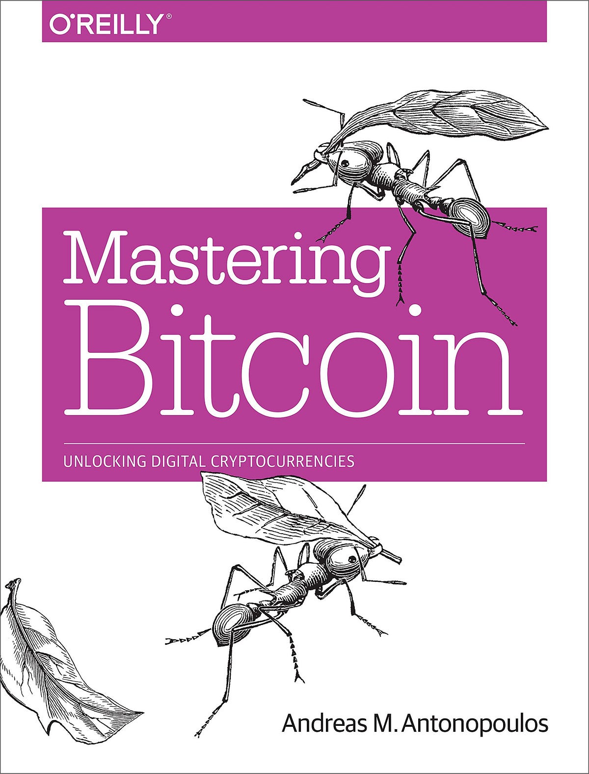 andreas antonopoulos mastering bitcoin