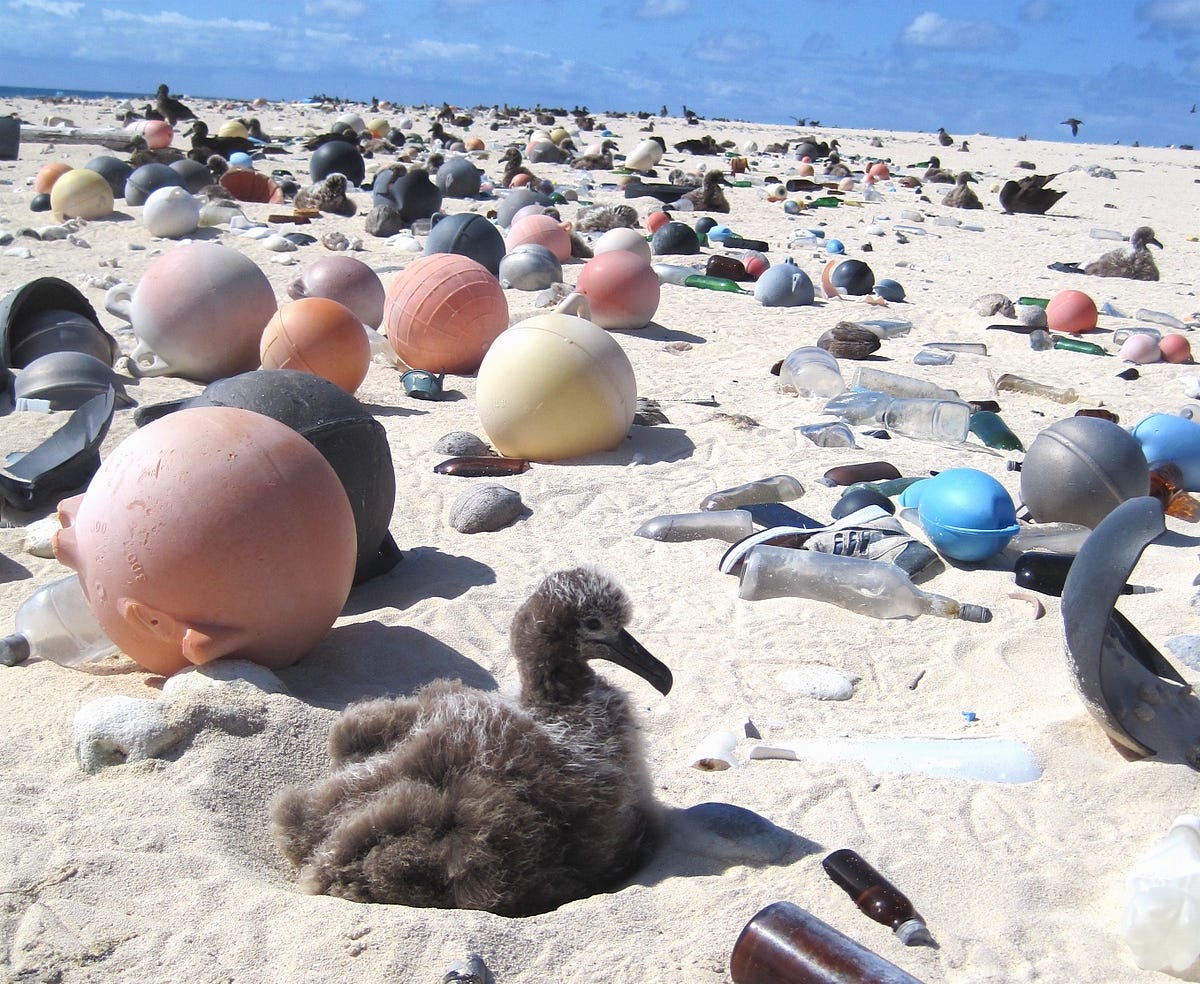 The Trash at the Edge of the World – Updates from the U.S. Fish and ...