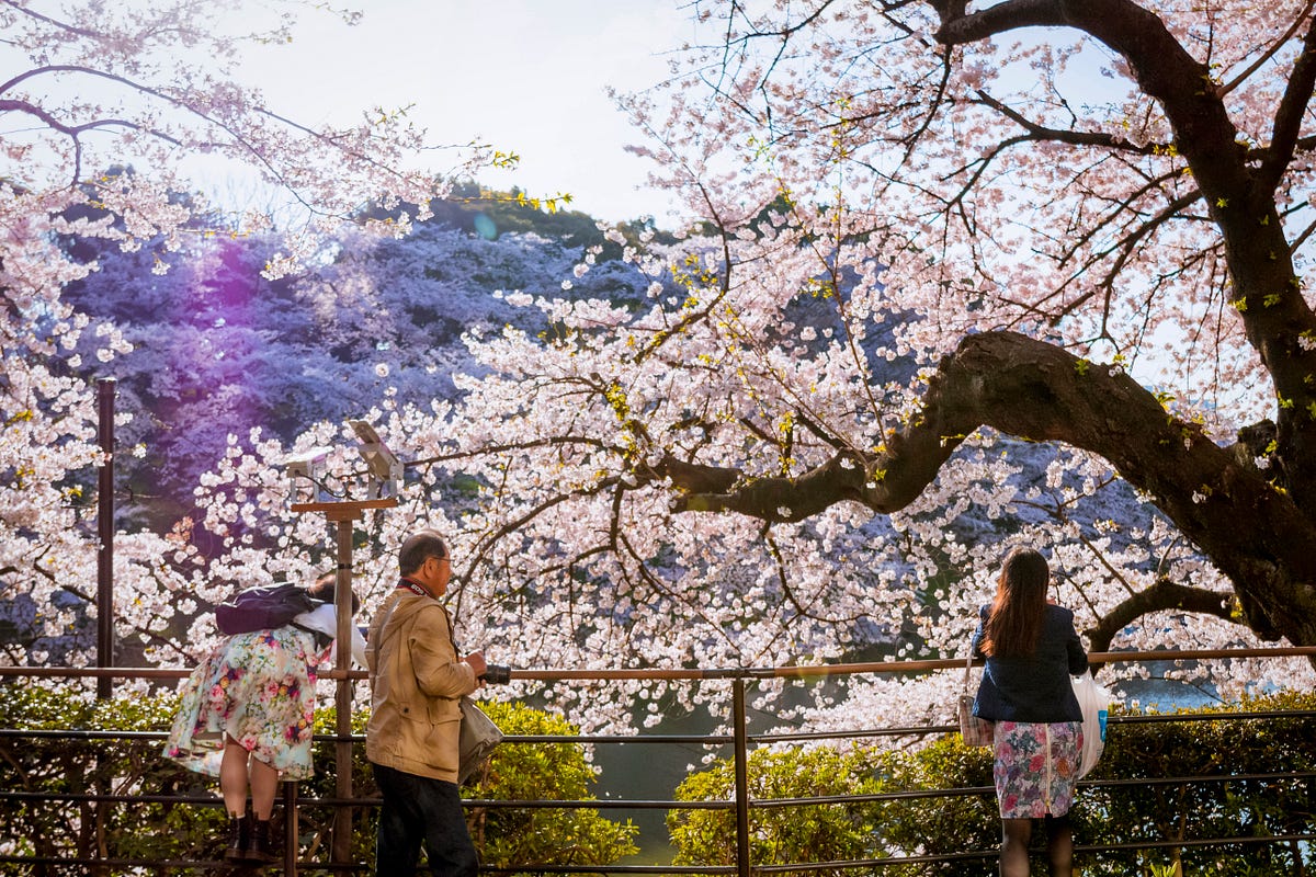 Scaling Knowledge Access and Retrieval at Airbnb