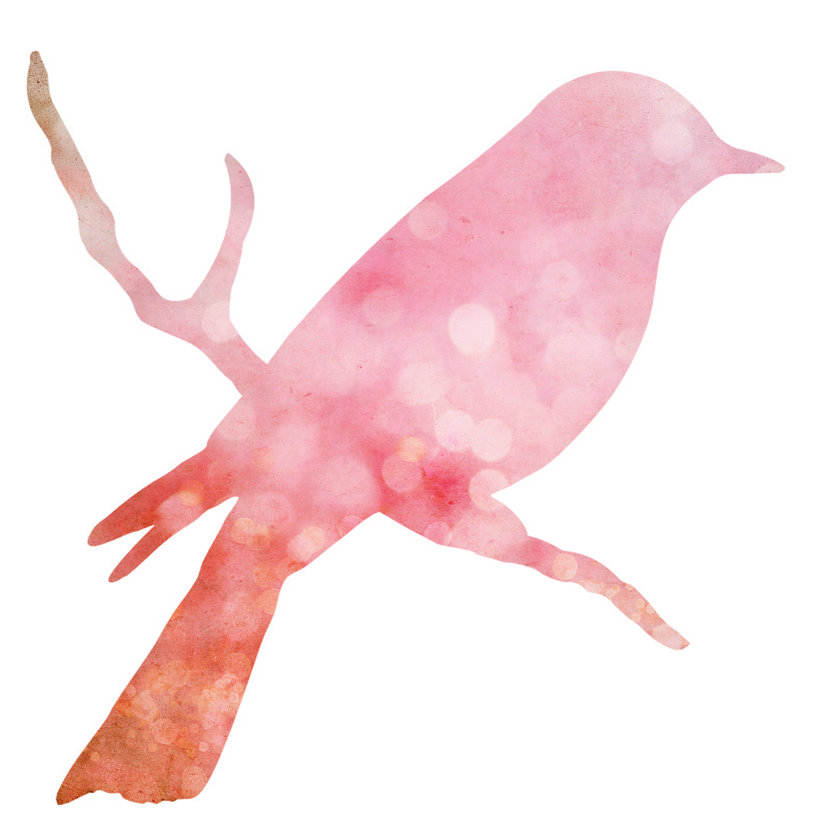 The Roost Medium