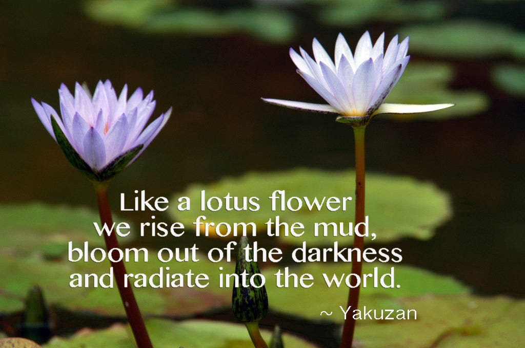 Like a lotus flower we rise . . . annie YAKUZAN loyd
