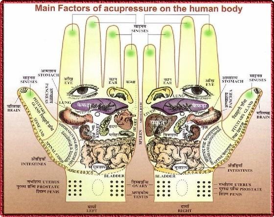 Acupressure and Your Palm Did you know nerve endings of your various