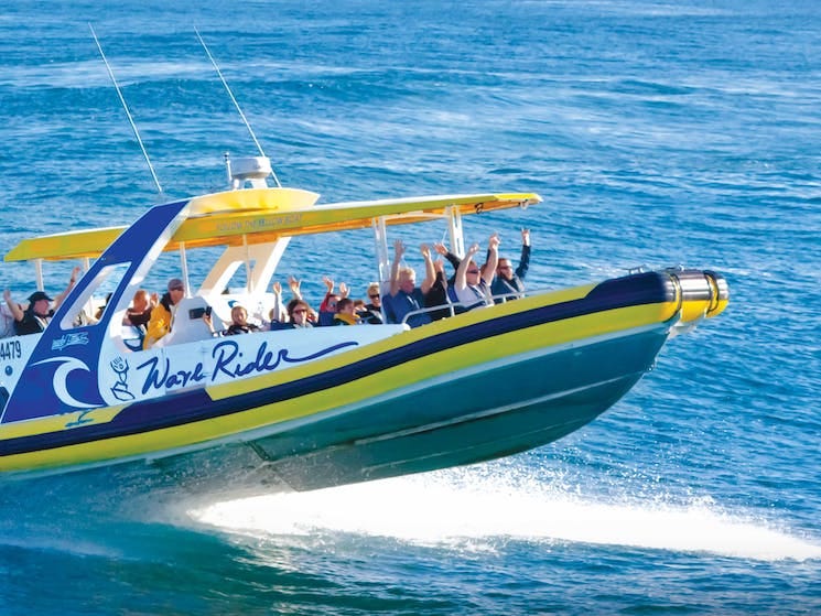 PortJet Whale Watching Cruises in Port Macquarie, NSW, Australia