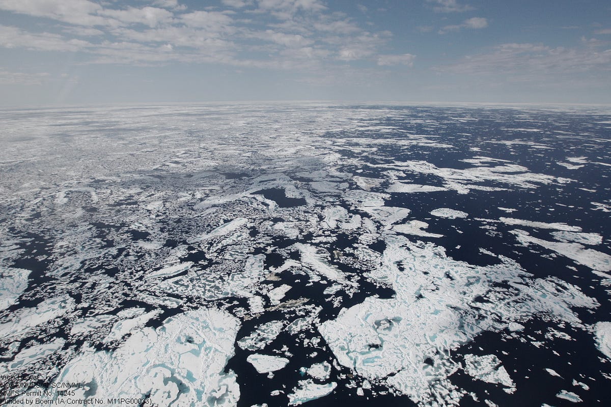 Destination Beaufort Sea Shelf Break: An Aerial Perspective