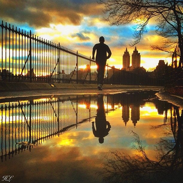 Great Runs in New York City Manhattan Great Runs Medium