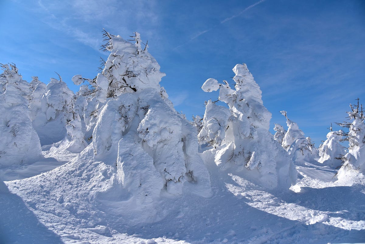 Zao Onsen : Meet the Snow Monsters at Zao Onsen Ski Resort!