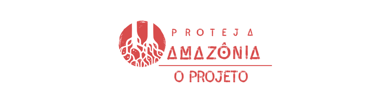 O PROJETO