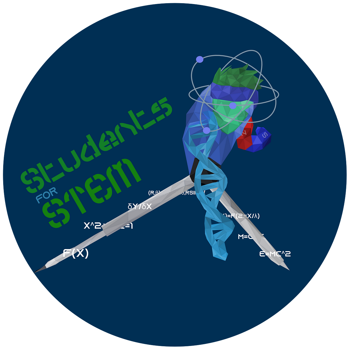 students-for-stem-medium