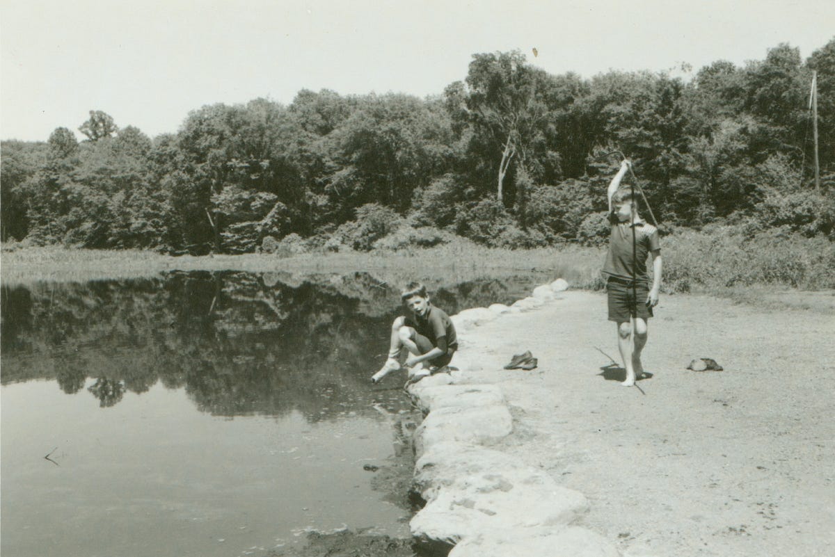 Restored and Restocked Alder Pond gets New Life Summit Metro Parks Medium