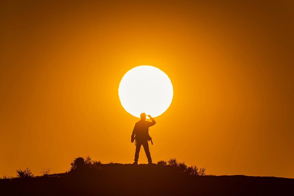 The sun