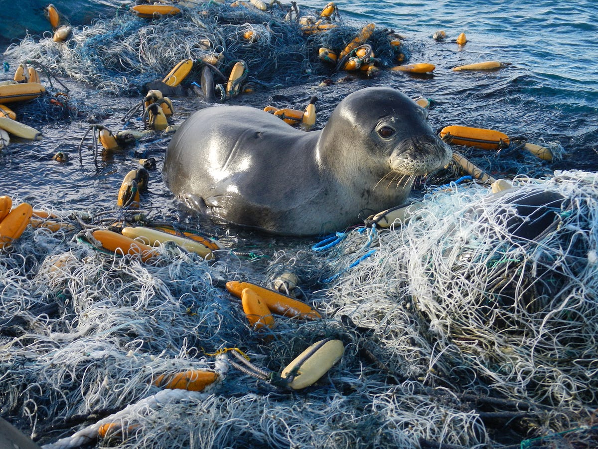 The Trash at the Edge of the World – Updates from the U.S. Fish and