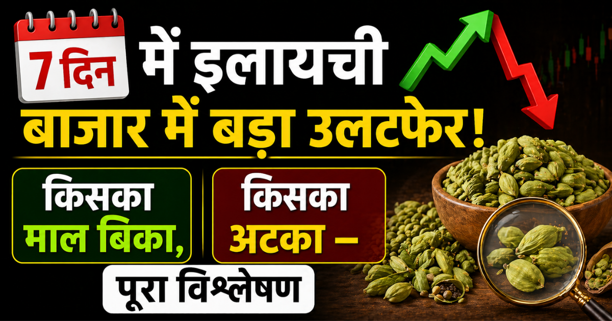 7 दिन में इलायची बाजार में बड़ा खेल! किसका माल सबसे ज्यादा बिका, किसका अटका? पूरा नीलामी विश्लेषण