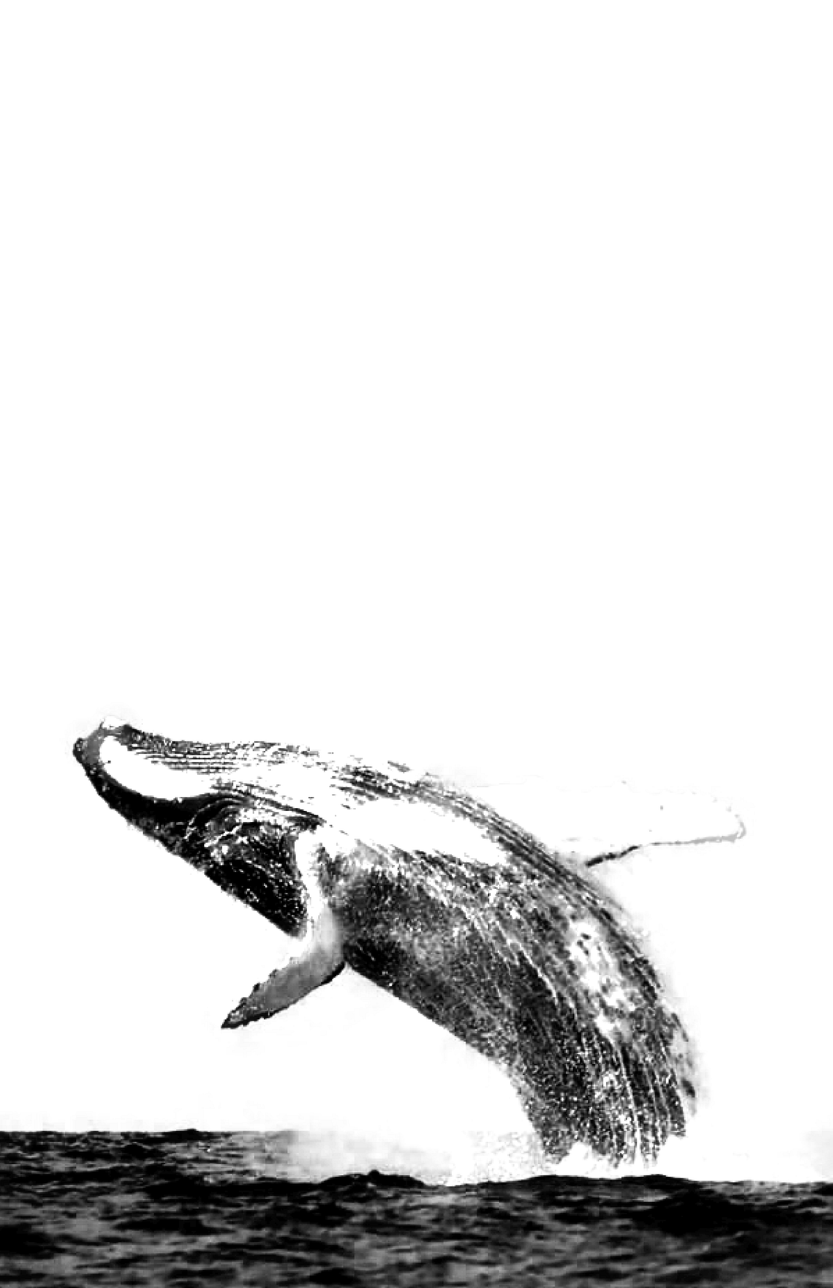 a floating space – Medium